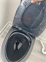 Install Mavens-Toilet Installation
